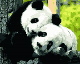 Panda Kærlighed