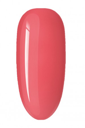 Punch 15ml · 98