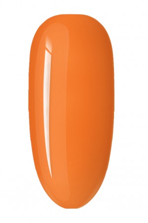 Pumpkin 15ml · 53